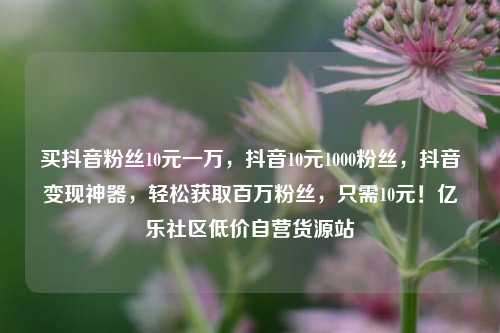 买抖音粉丝10元一万	，抖音10元1000粉丝，抖音变现神器，轻松获取百万粉丝	，只需10元！亿乐社区低价自营货源站  第1张