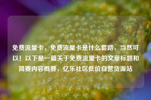免费流量卡，免费流量卡是什么套路	，当然可以！以下是一篇关于免费流量卡的文章标题和简要内容概要，亿乐社区低价自营货源站  第1张