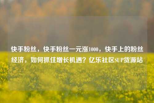 快手粉丝，快手粉丝一元涨1000	，快手上的粉丝经济，如何抓住增长机遇？亿乐社区SUP货源站  第1张