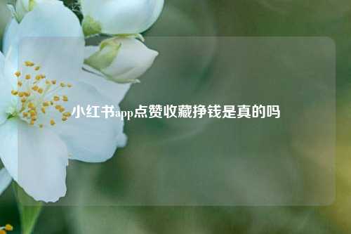 小红书app点赞收藏挣钱是真的吗  第1张