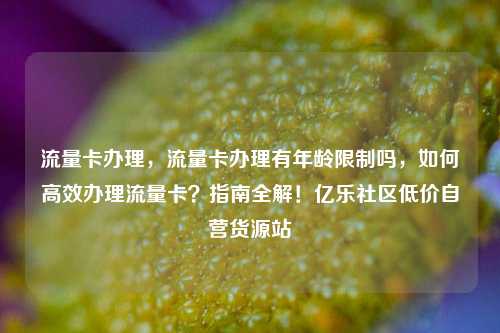 流量卡办理	，流量卡办理有年龄限制吗，如何高效办理流量卡？指南全解！亿乐社区低价自营货源站  第1张