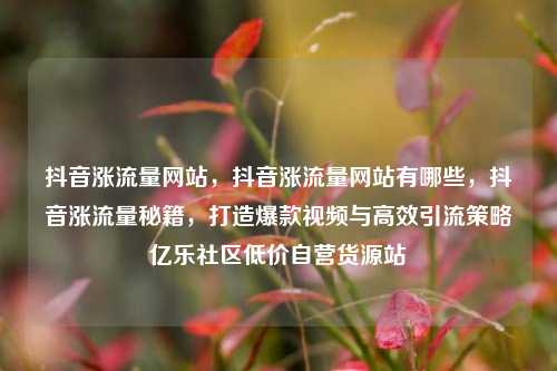 抖音涨流量网站，抖音涨流量网站有哪些	，抖音涨流量秘籍，打造爆款视频与高效引流策略亿乐社区低价自营货源站  第1张