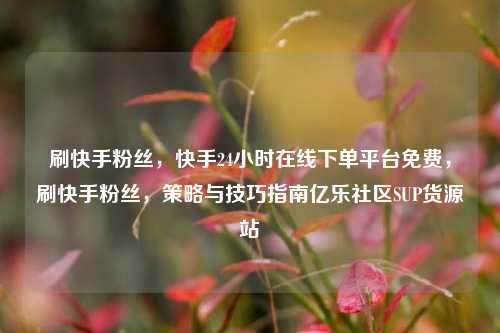 刷快手粉丝，快手24小时在线下单平台免费	，刷快手粉丝，策略与技巧指南亿乐社区SUP货源站  第1张