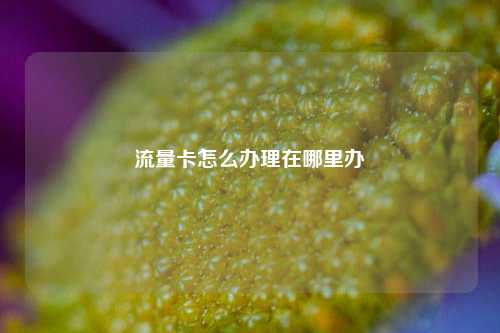 流量卡怎么办理在哪里办  第1张