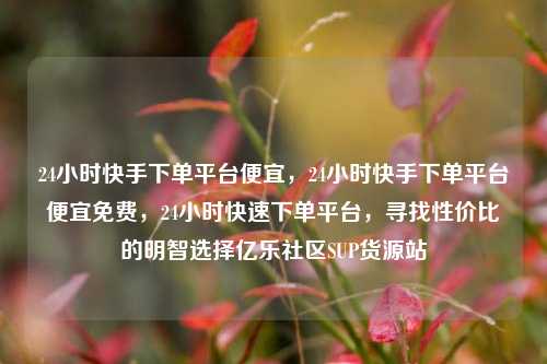 24小时快手下单平台便宜，24小时快手下单平台便宜免费	，24小时快速下单平台，寻找性价比的明智选择亿乐社区SUP货源站  第1张