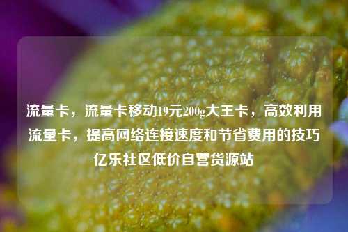 流量卡	，流量卡移动19元200g大王卡，高效利用流量卡，提高网络连接速度和节省费用的技巧亿乐社区低价自营货源站  第1张