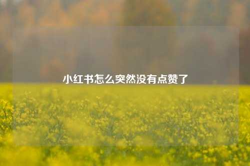 小红书怎么突然没有点赞了  第1张