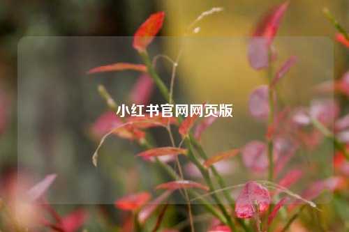 小红书官网网页版  第1张