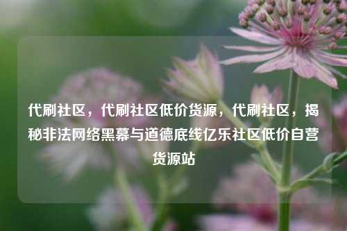 代刷社区，代刷社区低价货源	，代刷社区，揭秘非法网络黑幕与道德底线亿乐社区低价自营货源站  第1张
