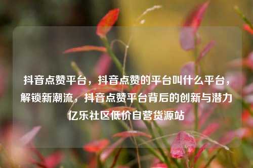 抖音点赞平台，抖音点赞的平台叫什么平台，解锁新潮流	，抖音点赞平台背后的创新与潜力亿乐社区低价自营货源站  第1张