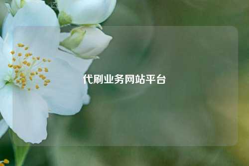 代刷业务网站平台  第1张