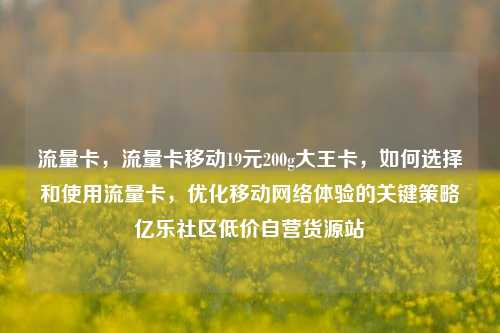 流量卡，流量卡移动19元200g大王卡	，如何选择和使用流量卡，优化移动网络体验的关键策略亿乐社区低价自营货源站  第1张