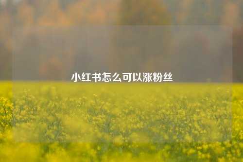小红书怎么可以涨粉丝  第1张