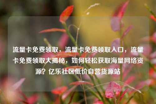 流量卡免费领取，流量卡免费领取入口	，流量卡免费领取大揭秘，如何轻松获取海量网络资源？亿乐社区低价自营货源站  第1张