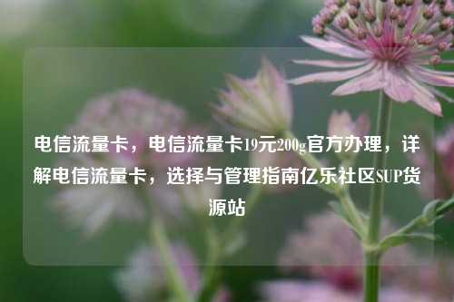电信流量卡	，电信流量卡19元200g官方办理，详解电信流量卡，选择与管理指南亿乐社区SUP货源站  第1张