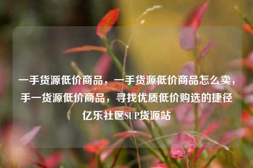 一手货源低价商品，一手货源低价商品怎么卖，手一货源低价商品	，寻找优质低价购选的捷径亿乐社区SUP货源站  第1张
