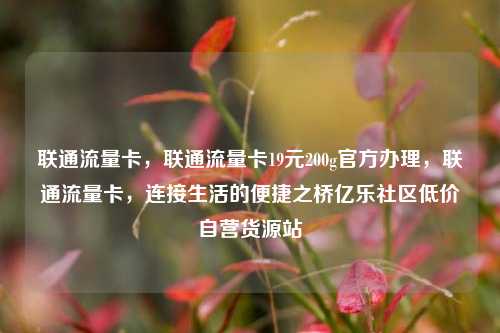 联通流量卡，联通流量卡19元200g官方办理	，联通流量卡，连接生活的便捷之桥亿乐社区低价自营货源站  第1张