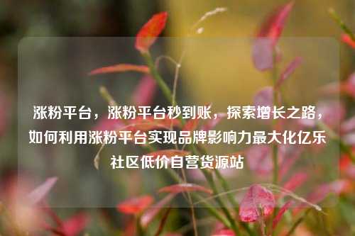 涨粉平台，涨粉平台秒到账，探索增长之路	，如何利用涨粉平台实现品牌影响力最大化亿乐社区低价自营货源站  第1张