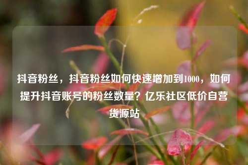 抖音粉丝，抖音粉丝如何快速增加到1000	，如何提升抖音账号的粉丝数量？亿乐社区低价自营货源站  第1张