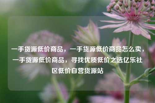一手货源低价商品，一手货源低价商品怎么卖，一手货源低价商品	，寻找优质低价之选亿乐社区低价自营货源站  第1张