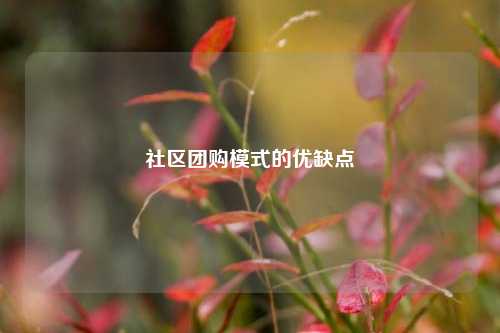 社区团购模式的优缺点  第1张