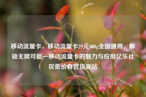移动流量卡，移动流量卡29元300g全国通用，解锁无限可能—移动流量卡的魅力与应用亿乐社区低价自营货源站  第1张