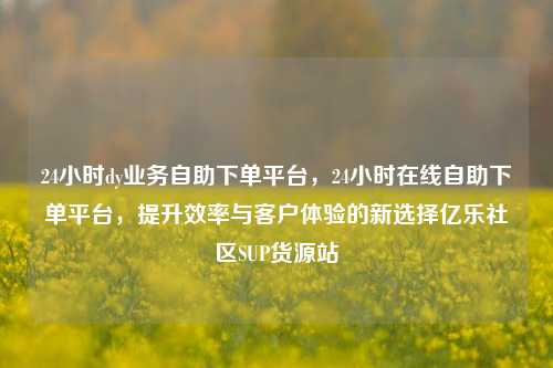 24小时dy业务自助下单平台	，24小时在线自助下单平台，提升效率与客户体验的新选择亿乐社区SUP货源站  第1张
