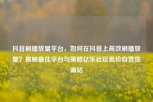 抖音刷播放量平台	，如何在抖音上高效刷播放量？揭秘最佳平台与策略亿乐社区低价自营货源站  第1张