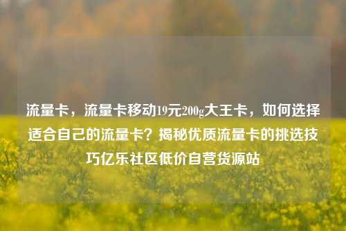 流量卡，流量卡移动19元200g大王卡	，如何选择适合自己的流量卡？揭秘优质流量卡的挑选技巧亿乐社区低价自营货源站  第1张