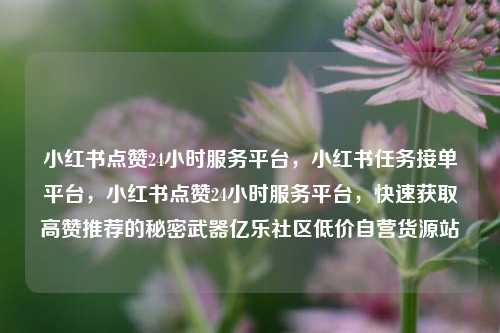 小红书点赞24小时服务平台，小红书任务接单平台	，小红书点赞24小时服务平台，快速获取高赞推荐的秘密武器亿乐社区低价自营货源站  第1张