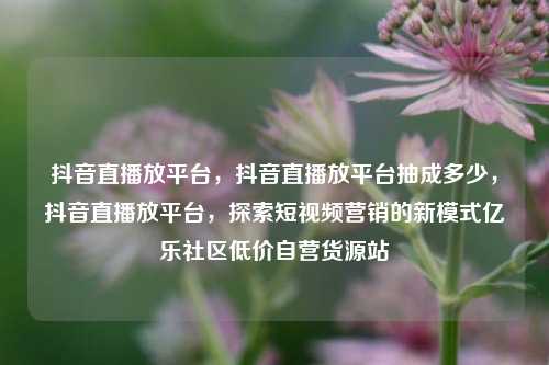 抖音直播放平台，抖音直播放平台抽成多少，抖音直播放平台，探索短视频营销的新模式亿乐社区低价自营货源站  第1张