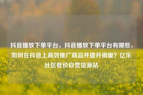 抖音播放下单平台，抖音播放下单平台有哪些，如何在抖音上高效推广商品并提升销量？亿乐社区低价自营货源站  第1张