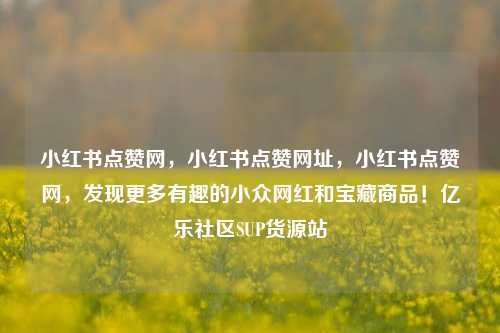 小红书点赞网，小红书点赞网址，小红书点赞网，发现更多有趣的小众网红和宝藏商品！亿乐社区SUP货源站  第1张