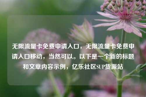 无限流量卡免费申请入口，无限流量卡免费申请入口移动，当然可以。以下是一个新的标题和文章内容示例，亿乐社区SUP货源站  第1张