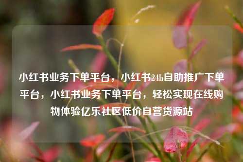 小红书业务下单平台，小红书24h自助推广下单平台，小红书业务下单平台，轻松实现在线购物体验亿乐社区低价自营货源站  第1张