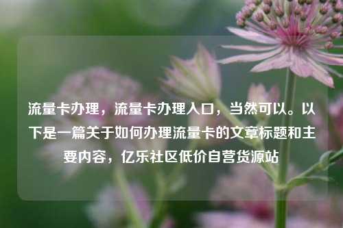 流量卡办理	，流量卡办理入口，当然可以	。以下是一篇关于如何办理流量卡的文章标题和主要内容，亿乐社区低价自营货源站  第1张