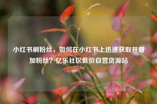 小红书刷粉丝	，如何在小红书上迅速获取并增加粉丝？亿乐社区低价自营货源站  第1张