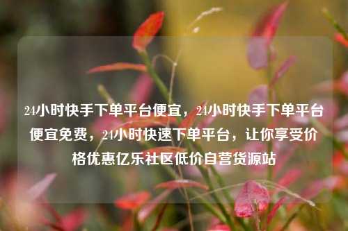 24小时快手下单平台便宜，24小时快手下单平台便宜免费，24小时快速下单平台	，让你享受价格优惠亿乐社区低价自营货源站  第1张