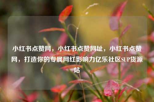 小红书点赞网，小红书点赞网址，小红书点赞网，打造你的专属网红影响力亿乐社区SUP货源站  第1张