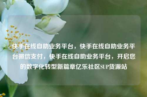 快手在线自助业务平台，快手在线自助业务平台微信支付，快手在线自助业务平台	，开启您的数字化转型新篇章亿乐社区SUP货源站  第1张