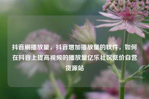 抖音刷播放量，抖音增加播放量的软件	，如何在抖音上提高视频的播放量亿乐社区低价自营货源站  第1张