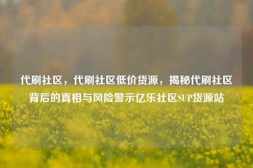代刷社区	，代刷社区低价货源，揭秘代刷社区背后的真相与风险警示亿乐社区SUP货源站  第1张