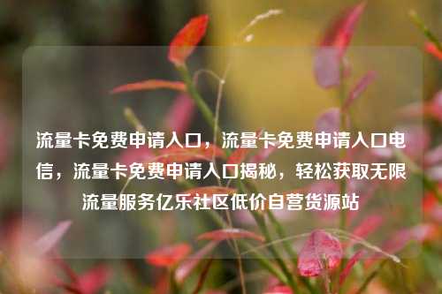 流量卡免费申请入口，流量卡免费申请入口电信，流量卡免费申请入口揭秘	，轻松获取无限流量服务亿乐社区低价自营货源站  第1张
