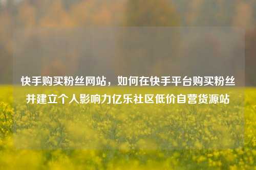 快手购买粉丝网站	，如何在快手平台购买粉丝并建立个人影响力亿乐社区低价自营货源站  第1张