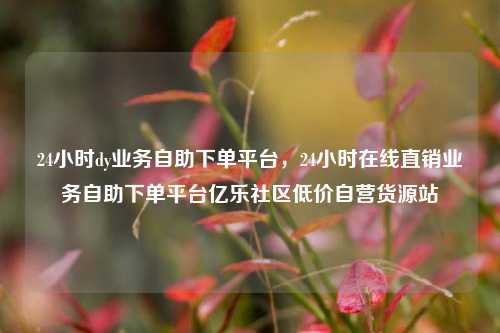 24小时dy业务自助下单平台	，24小时在线直销业务自助下单平台亿乐社区低价自营货源站  第1张